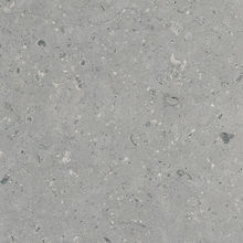 G213MR Arkaim Grey (Аркаим Грей) 600x600 матовый серый