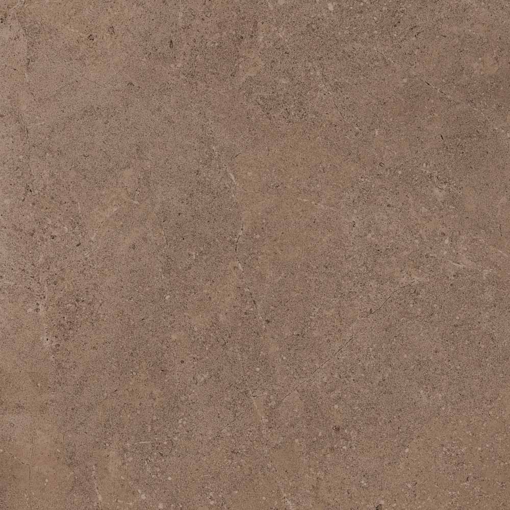 GO02 Gobi Dark Beige 600x600 неполированный бежевый