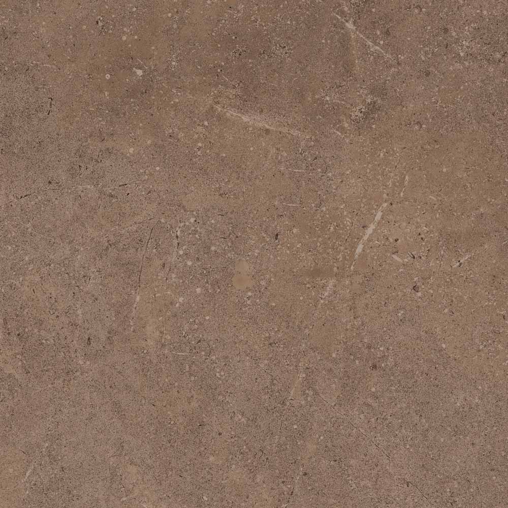 GO02 Gobi Dark Beige 600x600 неполированный бежевый